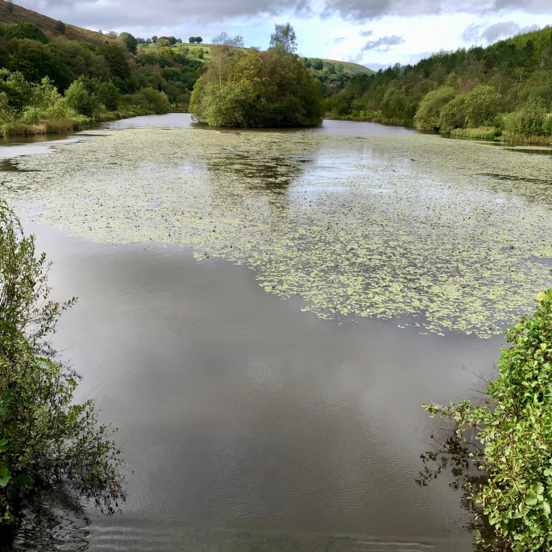 parc cwm darran 2